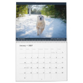 Matilda's Love 2022 Calendar Kalender (Jan 2027)