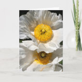 Matilija Poppy Note Kaart<Blank Inside> (Voorkant)