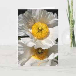 Matilija Poppy Note Kaart<Blank Inside>