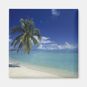 Matira Beach op het eiland Bora Bora, Magneet