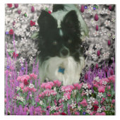Matisme in bloemen - White & Black Papillon Dog Tegeltje (Voorkant)