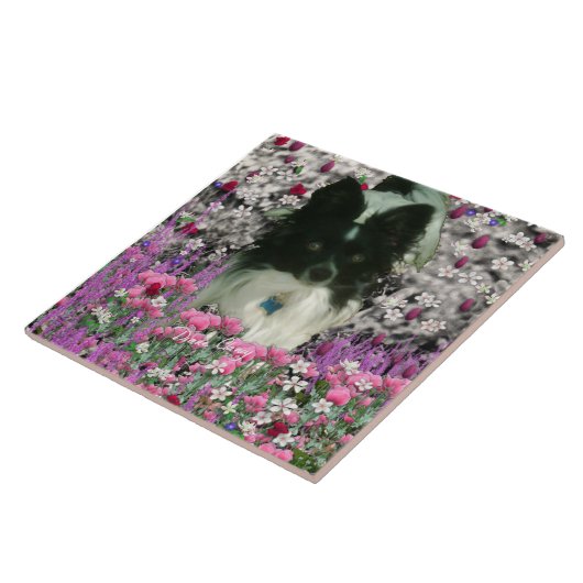 Matisme in bloemen - White & Black Papillon Dog Tegeltje (Zijkant)