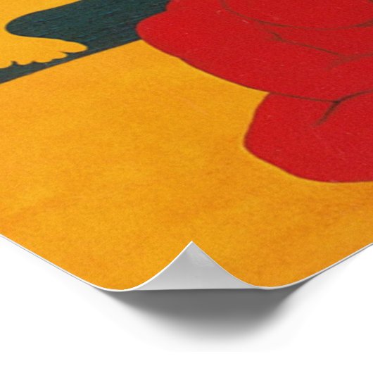 matisme poster (Hoek)