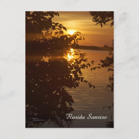 Matlacha Florida Sunrise Briefkaart (Voorkant)