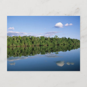 Mato Grosso staat, Amazone, Brazilië. Bebost Briefkaart