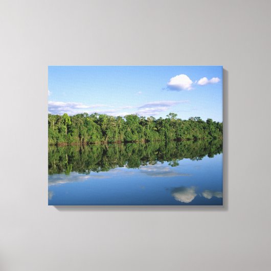 Mato Grosso staat, Amazone, Brazilië. Bebost Canvas Afdruk (Voorkant)