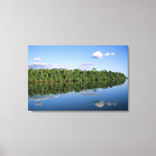 Mato Grosso staat, Amazone, Brazilië. Bebost Canvas Afdruk