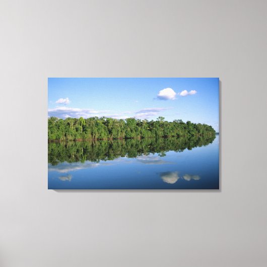 Mato Grosso staat, Amazone, Brazilië. Bebost Canvas Afdruk (Voorkant)