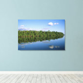 Mato Grosso staat, Amazone, Brazilië. Bebost Canvas Afdruk (Insitu (Houten vloer))