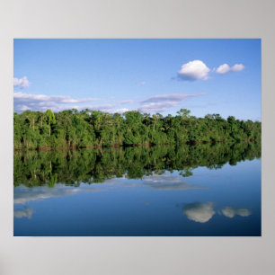 Mato Grosso staat, Amazone, Brazilië. Bebost Poster