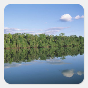 Mato Grosso staat, Amazone, Brazilië. Bebost Vierkante Sticker