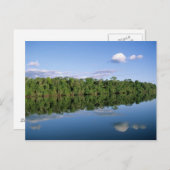 Mato Grosso State, Amazon, Brazilië. Verbost Briefkaart (Voorkant / Achterkant)