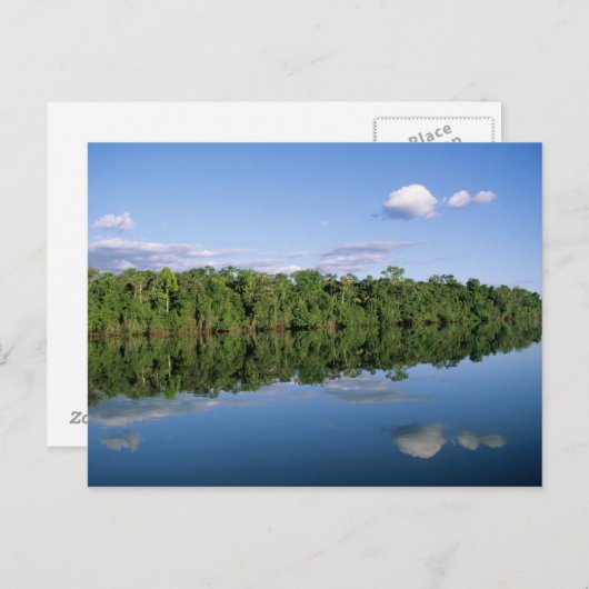 Mato Grosso State, Amazon, Brazilië. Verbost Briefkaart (Voorkant / Achterkant)
