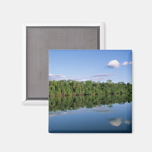 Mato Grosso State, Amazon, Brazilië. Verbost Magneet (Voorkant / Achterkant)