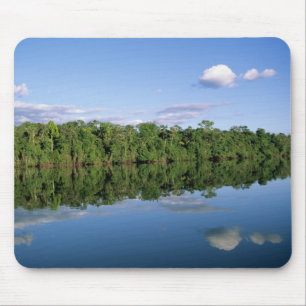 Mato Grosso State, Amazon, Brazilië. Verbost Muismat