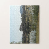 Matopos Hills, Zimbabwe Legpuzzel (Verticaal)