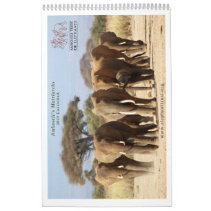Matriarchs Calendar 2015 Kalender