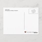 Matryoshka Ukraine Folk Art Briefkaart (Achterkant)