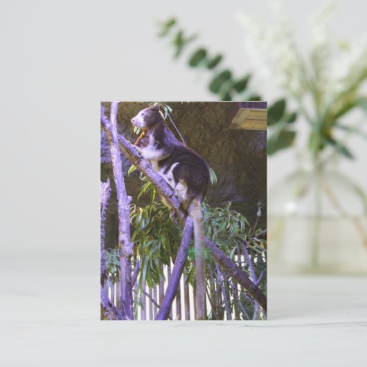 Matschie's Tree Kangaroo Briefkaart (Staand voorkant)