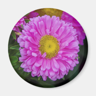 Matsumoto Flower magnet