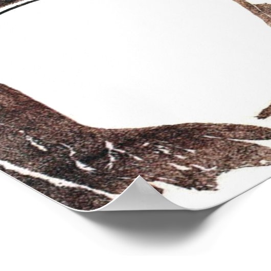 Matsumoto Hoji Frog Poster (Hoek)