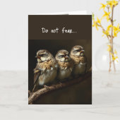 Matt 10:31 Troostende Bijbelverzen Vogels Kaart (Gele Bloem)