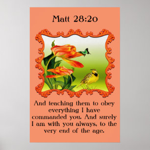 Matt 28:20 Gele en zwarte kanarie spotvogel Poster