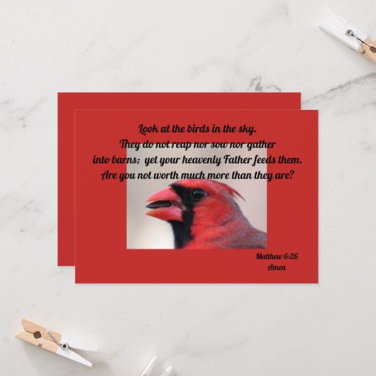 Matt 6: 26 kardinaal wenskaart kaart (Voorkant / Achterkant in situ)