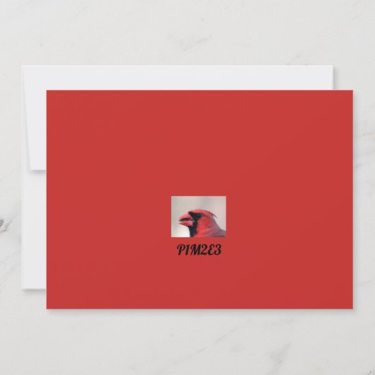 Matt 6: 26 kardinaal wenskaart kaart (Achterkant)