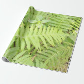 Matt Fern Wrapping Paper Cadeaupapier (Uitgerold)