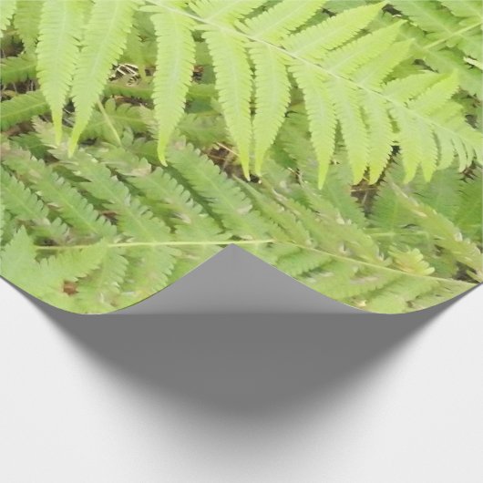 Matt Fern Wrapping Paper Cadeaupapier (Hoek)