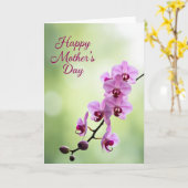 Matte Paarse Bloesem Kaart (Gele Bloem)