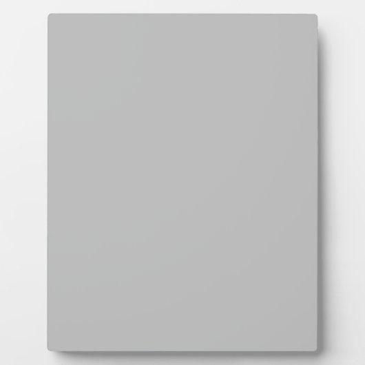 Matte Silver Fotoplaat (Voorkant)