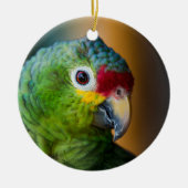 Matte Zwarte Veer Foto Pet Bird Memorial Keramisch Ornament (Voorkant)