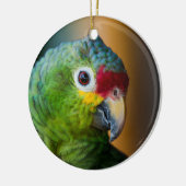 Matte Zwarte Veer Foto Pet Bird Memorial Keramisch Ornament (Links)