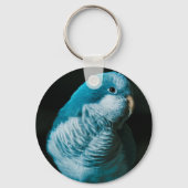 Matte Zwarte Veer Foto Pet Bird Memorial Sleutelhanger (Voorkant)