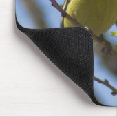 Matteüs 6:26 Goudvink Mousepad Muismat (Hoek)