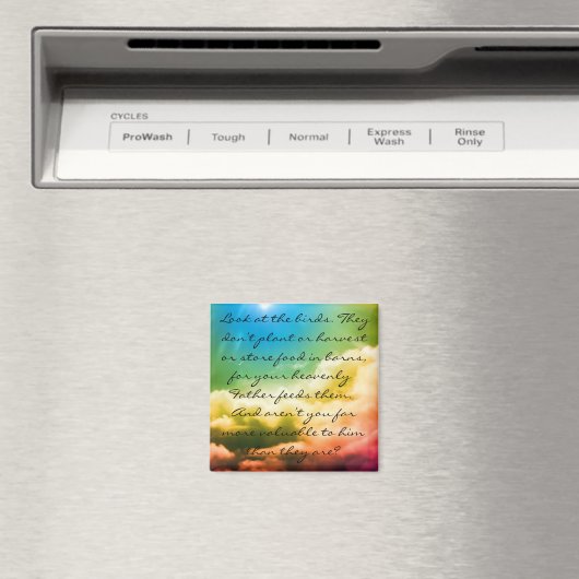 Matteüs 6:26 magneet (Insitu (Vaatwasser))