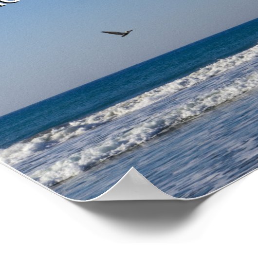 Matteüs 6:26 poster (Hoek)