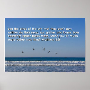 Matteüs 6:26 poster