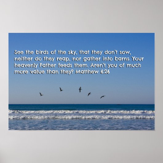 Matteüs 6:26 poster (Voorkant)