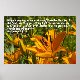 Matteüs 6:28-29 poster