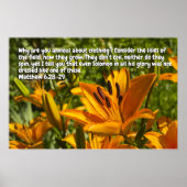 Matteüs 6:28-29 poster (Voorkant)