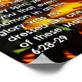 Matteüs 6:28-29 poster (Hoek)