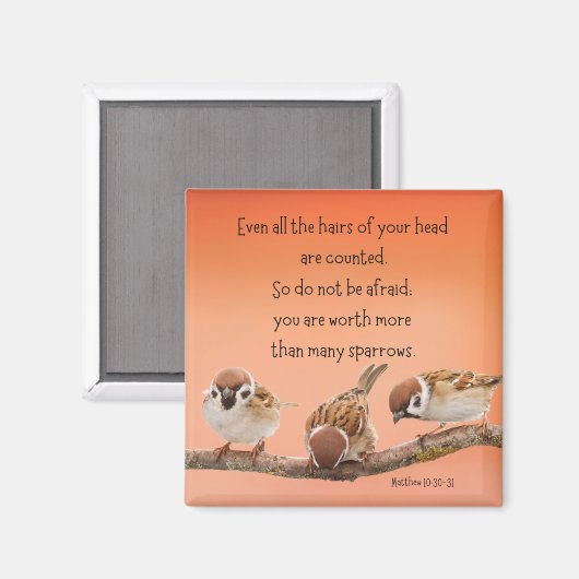 Mattheüs 10:30-31 2" Magneet (Voorkant / Achterkant)