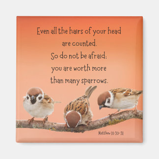 Mattheüs 10:30-31 2" Magneet