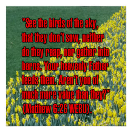 Mattheus 6:26 WEBU Perfect Poster