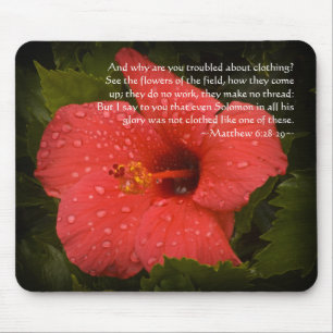 Mattheüs 6:28-29 Hibiscus Muismat