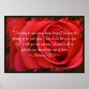 Mattheüs 6:28-29 Poster