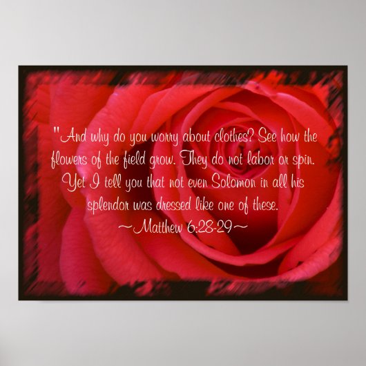 Mattheüs 6:28-29 Poster (Voorkant)